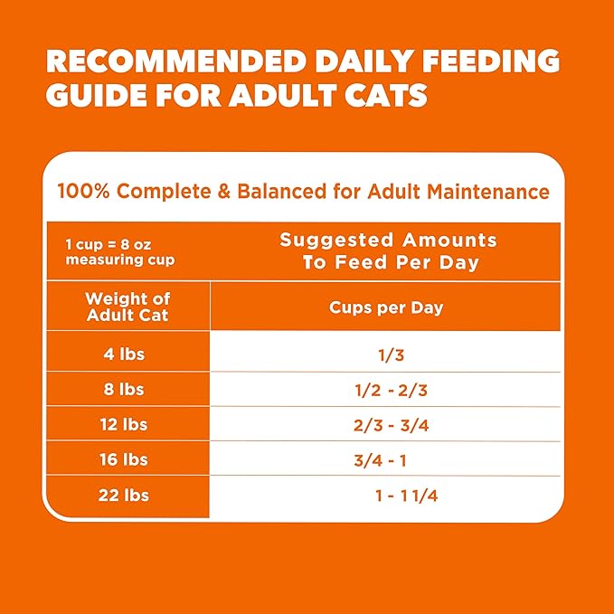 IAMS Proactive Health Dry Cat Food, Healthy Cat Food Dry Recipe for Adults, with Chicken 22 lb. Bag