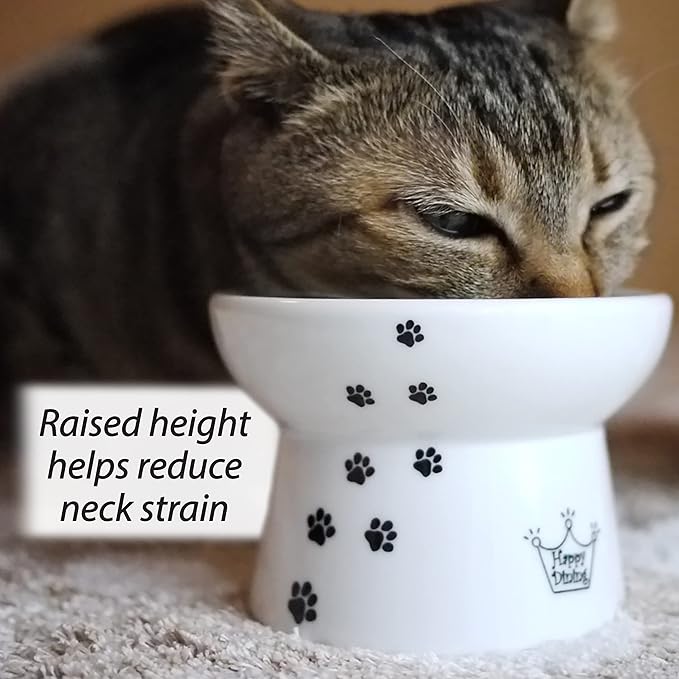 Necoichi Elevated Cat Food & Water Bowl – Ceramic Raised Cat Bowls for Whisker & Neck Fatigue, Dishwasher Microwave Safe – Anti Vomiting Ergonomic Design, Pet Bowls for Food & Water (Cats, Regular)