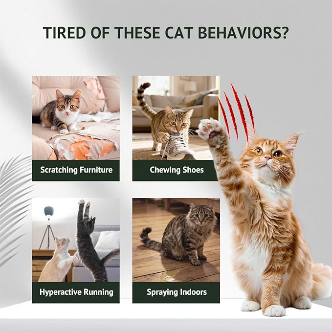 Cat Deterrent Spray for Indoor and Outdoor, 200ml / 6.76 Fl Oz, Cat Scratch Deterrent for Furniture, Sofa, Carpet and Plants, Anti Marking Training Spray with Natural Ingredients