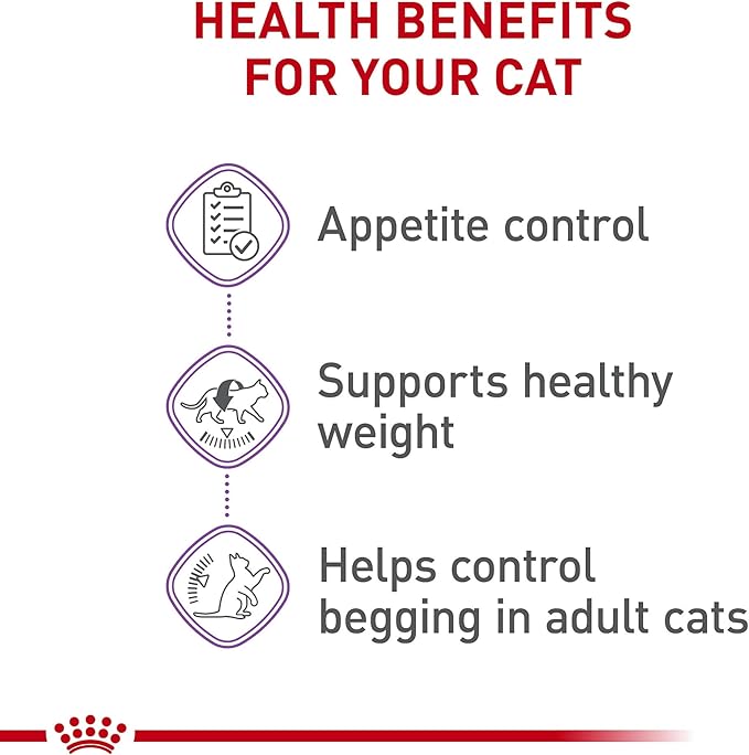 Royal Canin Feline Care Nutrition Appetite Control Care Adult Dry Cat Food, 6 lb Bag