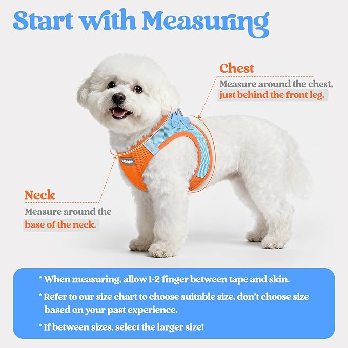 rabbitgoo Dog Harness Small Medium Sized and Leash Set, Step in Soft Light Puppy Vest, Breathable Mesh Pet Harness, Reflective for Safe Easy Walking, Blue & Orange L