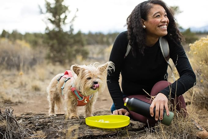 Ruffwear, Camp Flyer Dog Frisbee, Lightweight 8.7 in Flexible Flying Disc Dog Toy for Land Fetch, Soft on Teeth, Durable/High‑Visibility, Waterproof Finish, Doubles as Bowl, Polar Blue