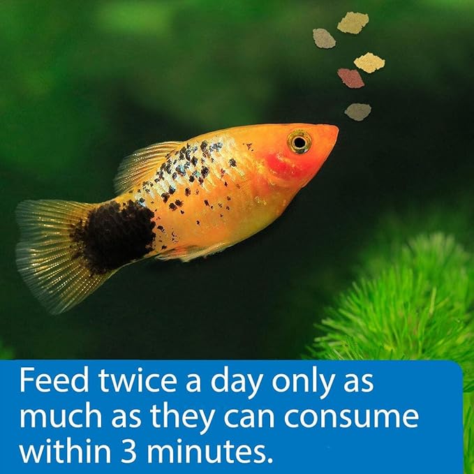 API TROPICAL FLAKES Fish Food .36-Ounce Container