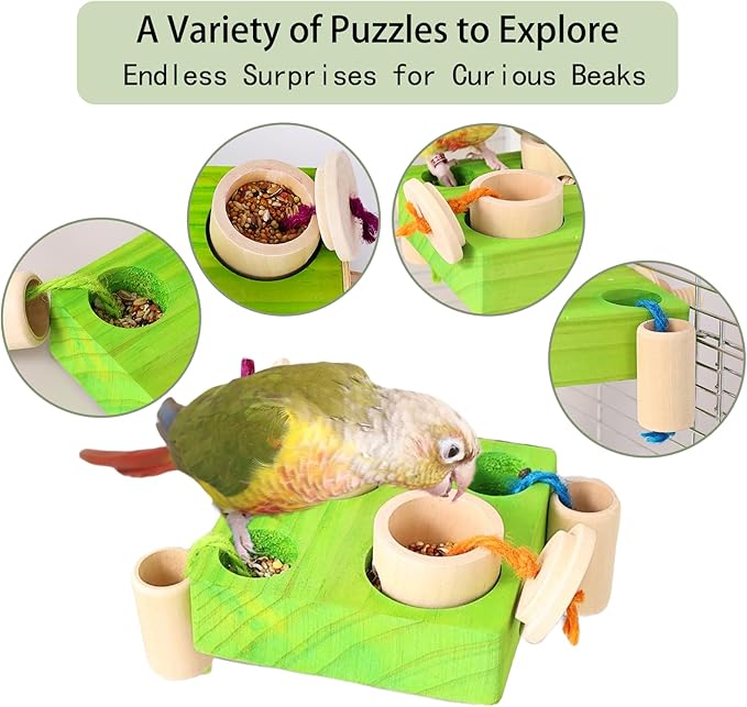 Birdie Puzzle Feeder - Interactive Foraging Toy for Parrots, Parakeets, Cockatiels, Conures | Mental Enrichment & Stimulation Game to Prevent Boredom (Green)