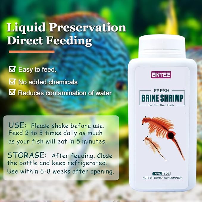 Fresh Brine Shrimp Fish Food - Adult Non-Living Shrimp for Fish Over 1 Inch