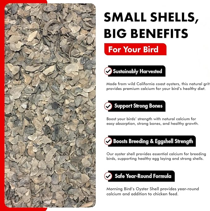Morning Bird Oyster Shell for Birds 9 lbs - Natural Calcium Supplement – Sustainably Harvested from California Coast - Easy Add to Favorite Mix - Safe Year-Round Bird Food Additive
