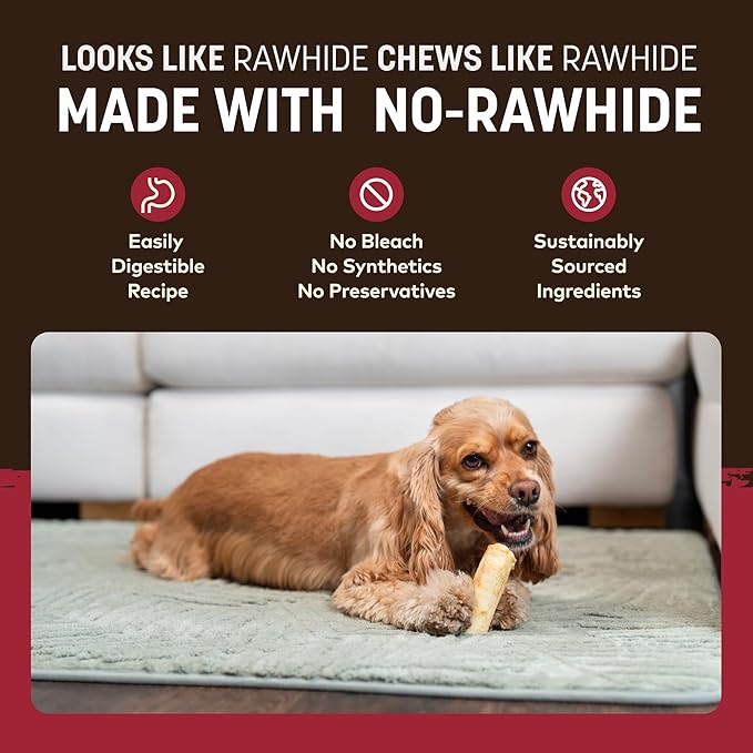 Earth Animal No Hide Chews - Long Lasting Rawhide Free Small Dog Chews Rolls, Beef - 6 Count