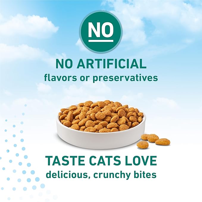 Purina ONE LiveClear Allergen-Reducing Cat Food Dry Formula with Real Chicken As The Number One Ingredient - 3 lb. Bag