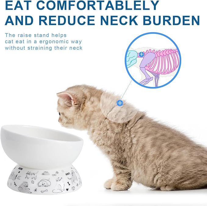 Ceramic Raised Cat Bowl Set | Elevated Food and Water Bowls for Cats and Small Dogs | 2 Pack Tilted With Anti-Slip Silicone Mat (Gray)