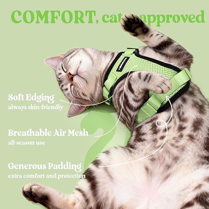 rabbitgoo Cat Harness and Leash for Walking, Escape Proof Soft Adjustable Vest Harnesses for Cats, Easy Control Breathable Reflective Strips Jacket, Light Green, M