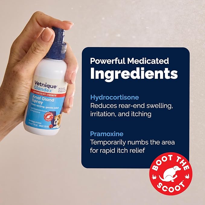 Vetnique Glandex Medicated Dog Butt Wipes or Spray for Dog Scooting - Topical Anti Itch Skin Relief for Soothing Inflamed Anal Glands in Dogs & Cats - Fast Acting Formula (4oz Spray)
