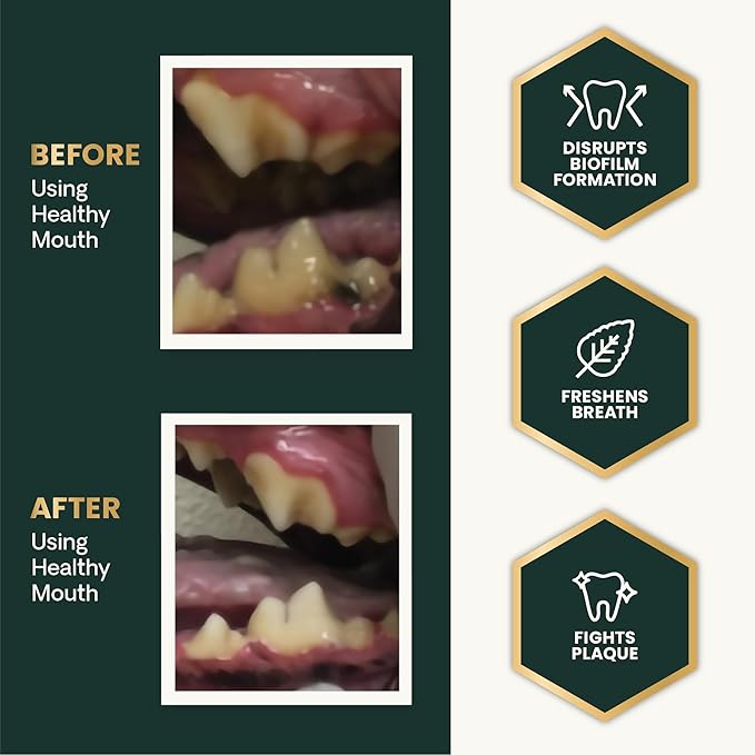 VetriScience Dental Care Powder for Dogs & Cats – Helps Reduce Plaque & Tartar Buildup, Support Clean Teeth & Fresher Breath, Clinically Tested, Vet-Formulated Oral Care Supplement, 4.2 oz