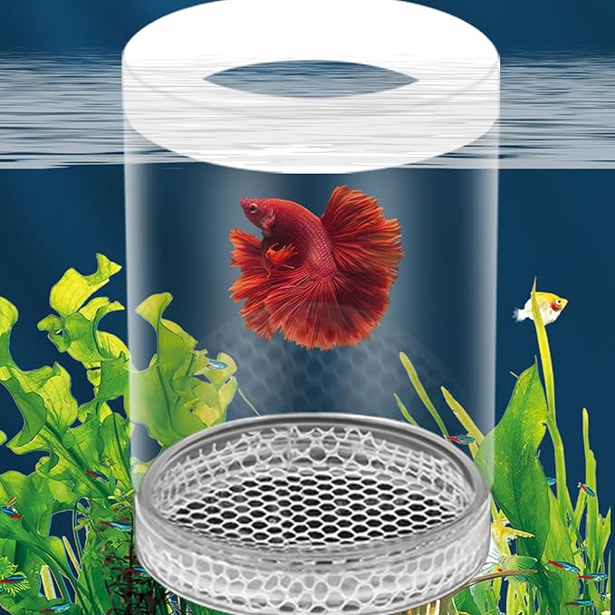 Aquariums Breeding Box Hatchery Shelter House for Guppy Bettafish Clownfishs with Divider Design Floating House 3PCS Bettafish Nursery Tanks