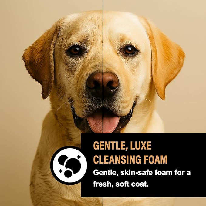 Dog Shampoo for Sensitive Skin - Gentle Natural Dog Wash for Odor Control - Oatmeal Shampoo for All Dogs & Puppies - 8fl oz (Oatmeal Honey)
