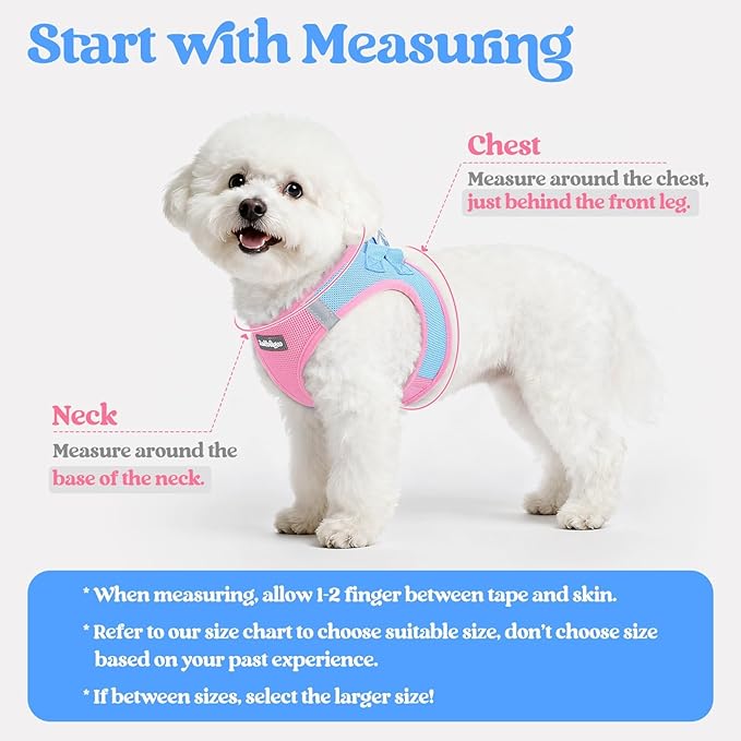 rabbitgoo Dog Harness Small Medium Sized and Leash Set, Step in Soft Light Puppy Vest, Breathable Mesh Pet Harness, Reflective for Safe Easy Walking, Blue & Light Pink XL