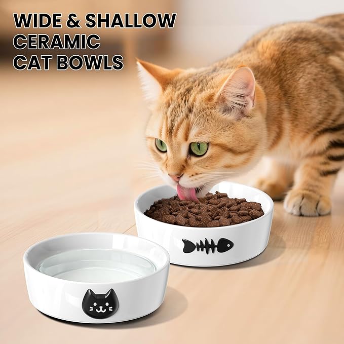 Ceramic Cat Bowls for Indoor Cats - Cat Food Bowl & Water Bowl Set of 2 with Anti-Slip Rings - Whisker Friendly Kitten Supplies Feeding & Watering - Pet Bowls for Kitten and Small Size Dog