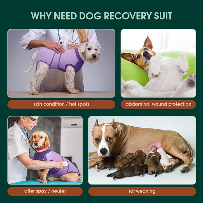 Kuoser Recovery Suit for Dogs After Surgery, Soft Dog Surgery Suit Female Male, Breathable Pet Surgical Recovery Shirt, Anti Licking Dog Onesie for Abdominal Wounds Cone Alternatives, Purple XS