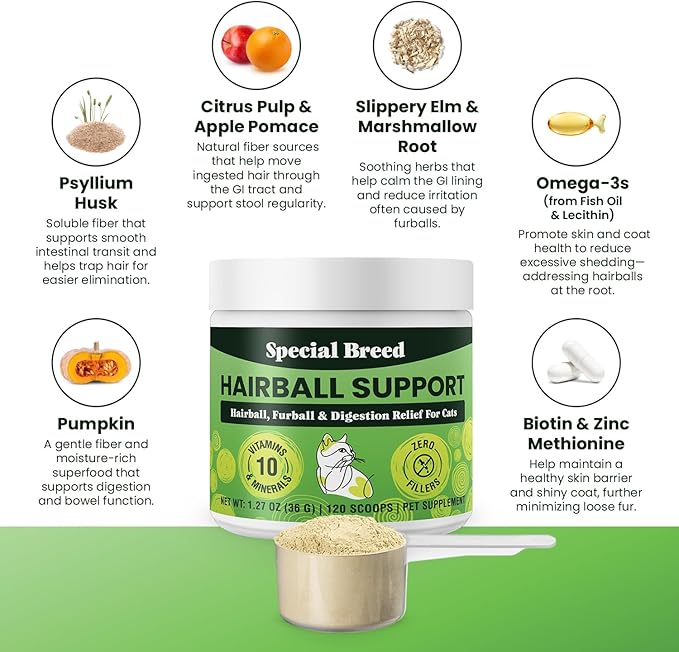 Special Breed Hairball Support for Cats - 10 Super Ingredients for Hairball Relief, Digestive Support & Healthy Skin - No Fillers - Psyllium, Pumpkin, Omega-3s & More - 120 Scoops