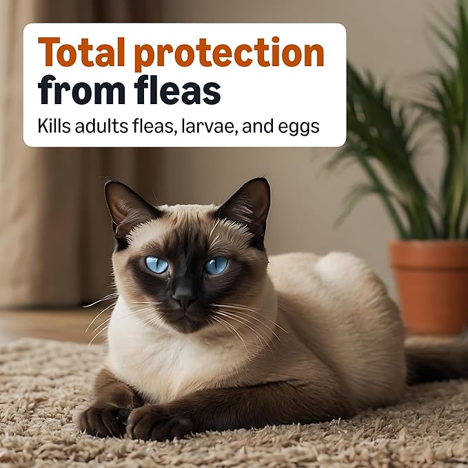 Amazon Basics Topical Flea Treatment for Medium Cats (5-9 Pounds), 6 Count, Packaging May Vary