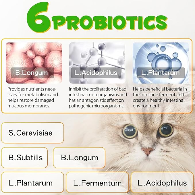 Gentle Constipation Relief for Cats and Kittens – Probiotic Gut and Immune Support for Felines - Natural Herbal Health Supplement Cat Laxative Stool Softener - 2 oz