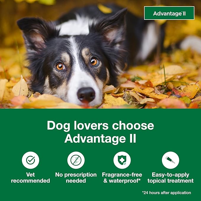 Advantage II Large Dog, 4 pack