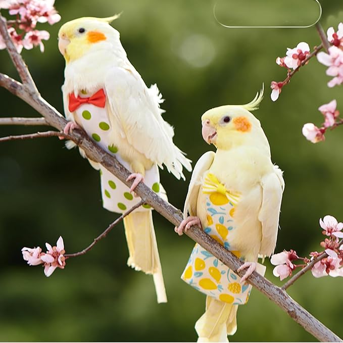 2 Pack Bird Diaper Parrot Nappy Bird Flight Suits Harness Cockatiel Diaper Small Birds Clothes for Parakeet Cockatiels Mini Macaw Budgie Canary Pigeon Conure Budgies Mini Macaws Small Size