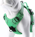 Truelove No Pull Dog Harness with Easy Control Handle and 2 Leash Attachments,Reflective Adjustable Pet Vest
