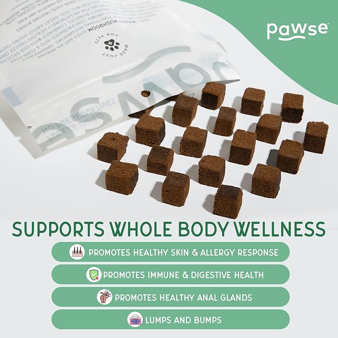 Mighty Mushroom Chews Supplement for Dogs & Cats | Blend of Turkey Tail, Reishi, Chaga, Maitake & Shiitake | for Immune System, Lumps & Bumps, Gut Health & Skin Support | 60 Chews