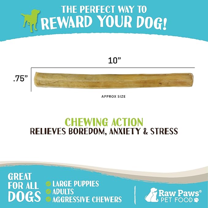 Raw Paws 10-inch Compressed Rawhide Sticks for Dogs, 20-ct - Pressed Rawhide Chews for Large Breeds & Medium Dogs - Safe Raw Hide Rolls - Natural Dog Chew Long Lasting for Aggressive Chewers