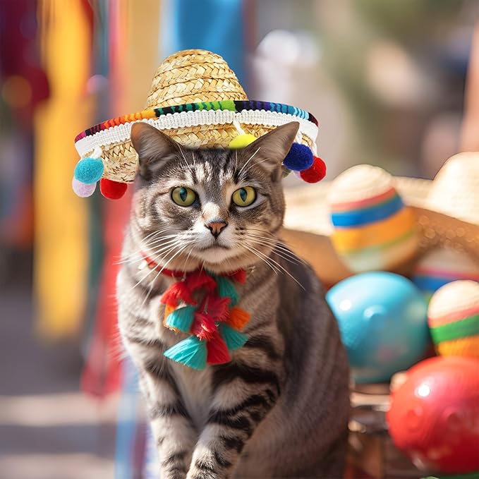 Sombrero Cat Hat for Cats Mexican Fiesta, Mini Sombrero Hat for Cat Cinco de Mayo Party Supplies Funny Sombrero Mexican Style Hats Headwear for Small Puppy Cats Costume Cute Sombrero