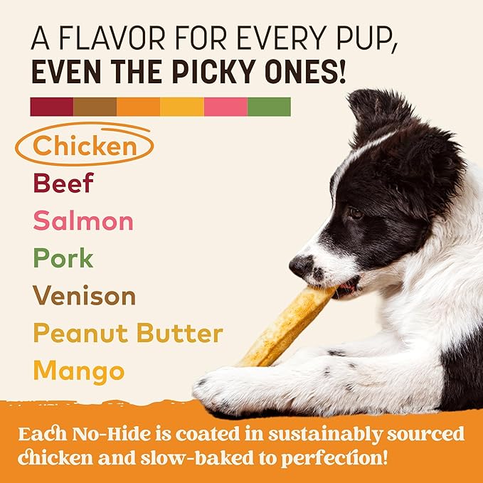 Earth Animal No Hide Chews - Long Lasting Rawhide Free Medium Dog Chews Rolls, Chicken - 6 Count