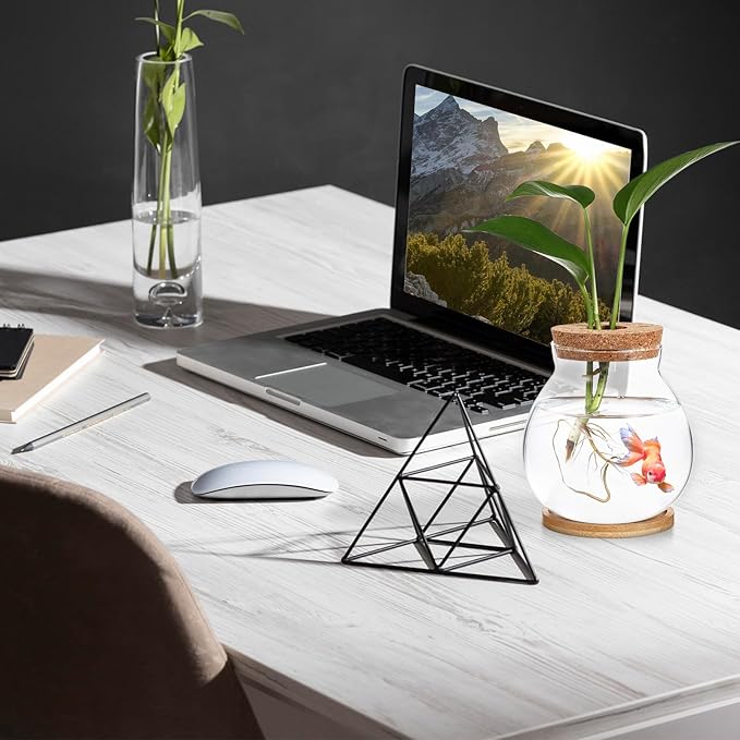 HANABASS Desktop Fish Bowl Hydroponic Terrarium Small Glass Betta Fish Tank with Wood Lid and Bamboo Stand for Home Office Decoration