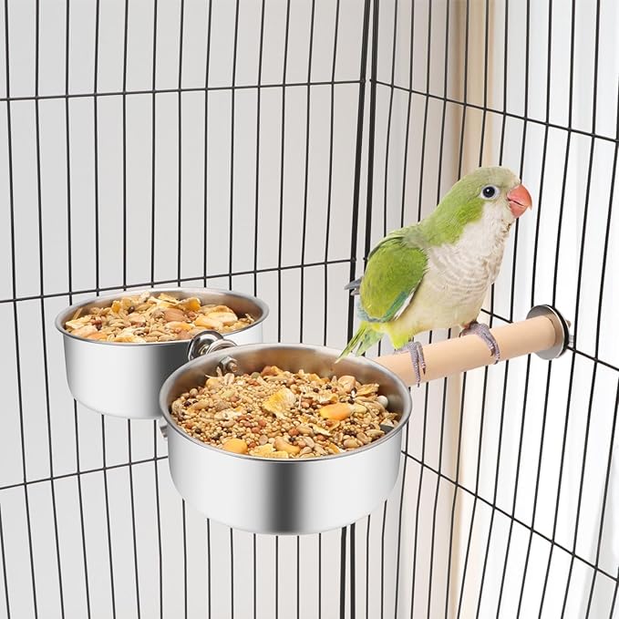 Bird Wood Stand Perch with Food Water Feeding Bowl for Parrot Parakeet Cockatiel Cage Accessories (B: Perch with 2 Feeder Bowls)
