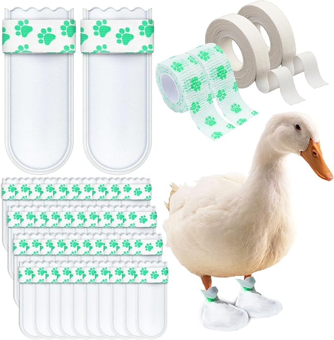 Disposable Boots for Real Duck Feet, Bumble Foot for Duck Supplies with Bandage, Large Size (Green, 40 PCS)