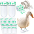 Disposable Boots for Real Duck Feet, Bumble Foot for Duck Supplies with Bandage, Large Size (Green, 40 PCS)