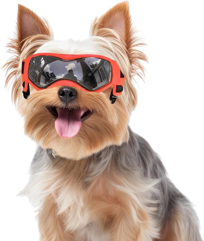 Small Breed Dog Goggles, Sunglasses with UV Protection, Adjustable Straps - Orange