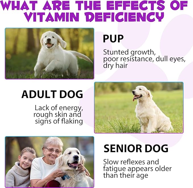 Dog Multivitamin Liquid Drops - 15 in 1 with Glucosamine, MSM & Cranberry, Supports Joint, Skin & Coat, Immune, Heart & Urinary Health, 2 fl oz