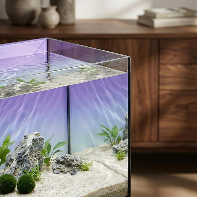 2.8 Gallon Glass Fish Tank with Filter LED Light Complete Betta Fish Tank Starter Kit for Small Aquarium Lovers, Rimless Freshwater Nano Tank with All Essentials Included