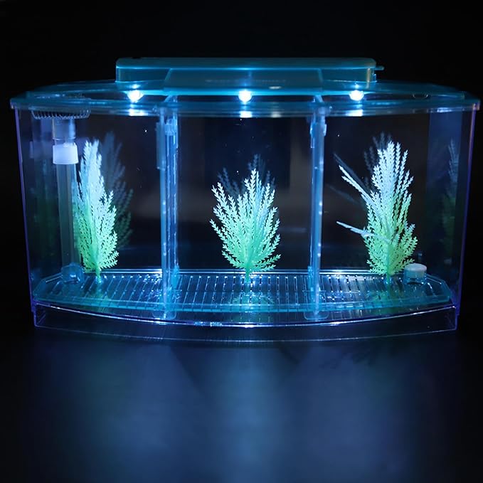 GLOGLOW TripleChamber Fish Breeder Box for Aquarium, Breeding Tanks Transparent LED Acrylic Small Fishes Breeding Isolation Box with Six LED Lights and Water Change Valve Breeder (Blue)
