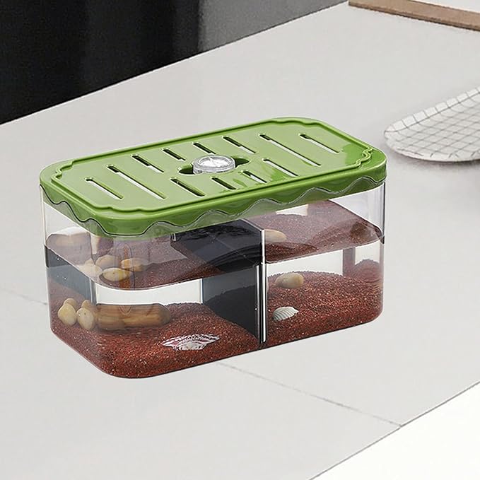 Aquarium Breeding Box Tabletop Fish Tank Versatile Acclimation Hatchery with Removable Divider for Guppy Betta Desk, Green