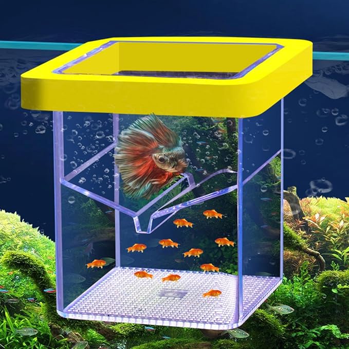 Fish Tank Breeder Box – Suction Cup Isolation Container | Divider Hatchery Unit for Acclimating Raising Fry, Aquarium Setup Accessory for Separating Injured or Aggressive Aquatic Species