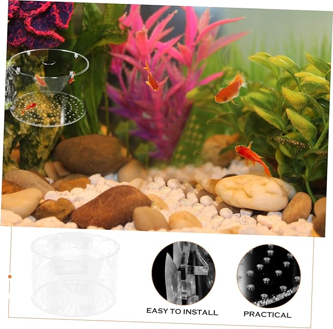 POPETPOP Fish Breeding Box Isolation Tank for Fish Hatching Easy to Clean Aquarium Divider for Safe Breeding Enhanced Survival Rate Transparent