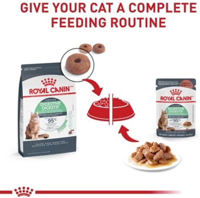Royal Canin Feline Care Nutrition Digestive Care Adult Chunks in Gravy Cat Food, 3 oz (Pack of 12)
