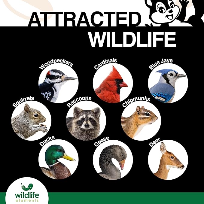 Peanut Party Unprocessed, Raw Shelled Peanuts Wildlife Animal Food, 25lb - Rich in Protein, Healthy Fats, and Essential Nutrients for Birds, Squirrels & Waterfowl