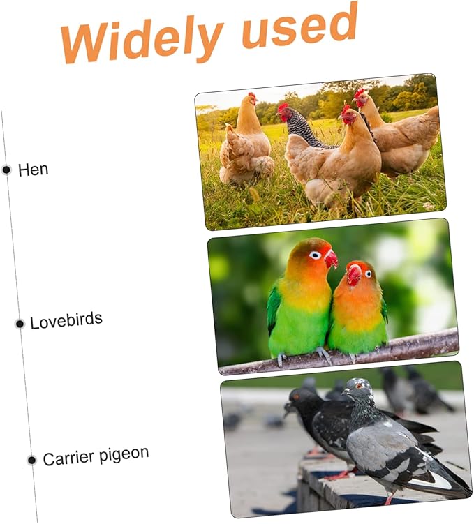 Kisangel 2pcs Outdoor Indoor Bird Supplies Sunflower Seeds Bird Food Watering Supplies