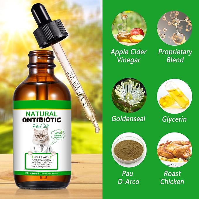 Cat Antibiotics for Infection, Natural Antibiotics for Cats, Cat Multivitamins Liquid, Cat Antibiotic Supports Immune and Cats Allergy Itch Relief, Pet Antibiotics Supplements, Chicken Flavor, 2 Fl Oz
