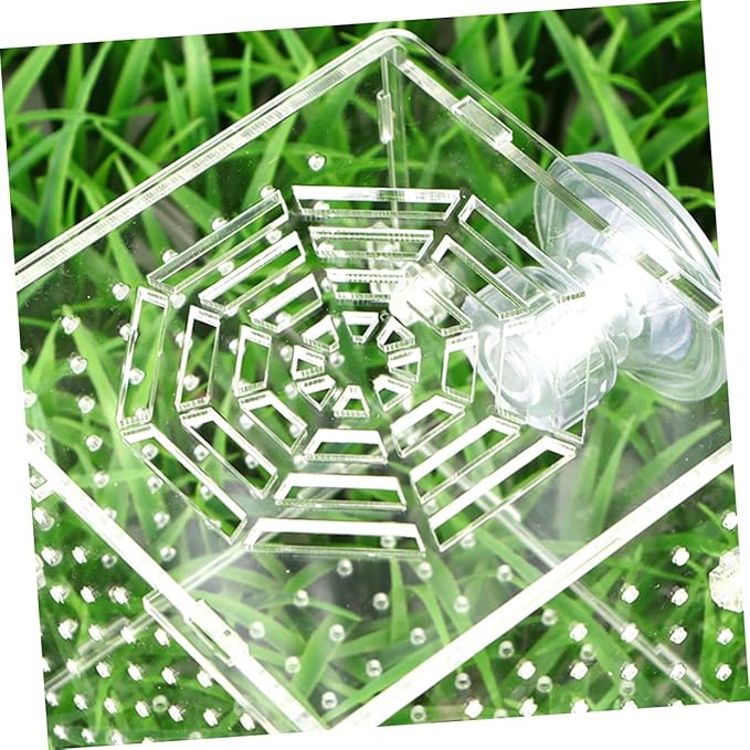 BESPORTBLE Acrylic Fish Breeding Box Live Fish Isolation Tank Breeding Hatching Box for Aquarium Round Hole Suction Cup