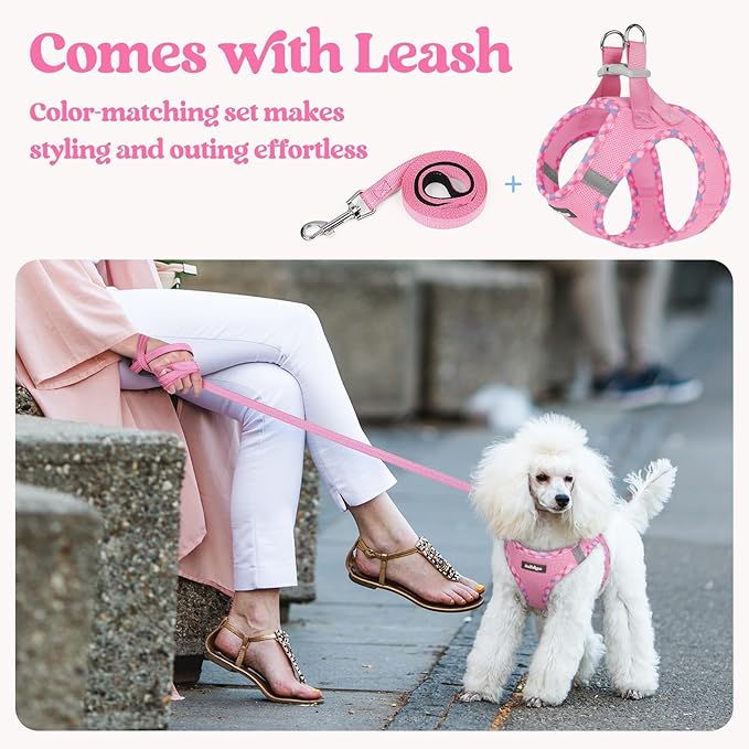 rabbitgoo Dog Harness Small Sized and Leash Set, Step in Soft Light Puppy Vest, Breathable Mesh Pet Harness, Reflective for Safe Easy Walking, Pink & Plaid Trim XS