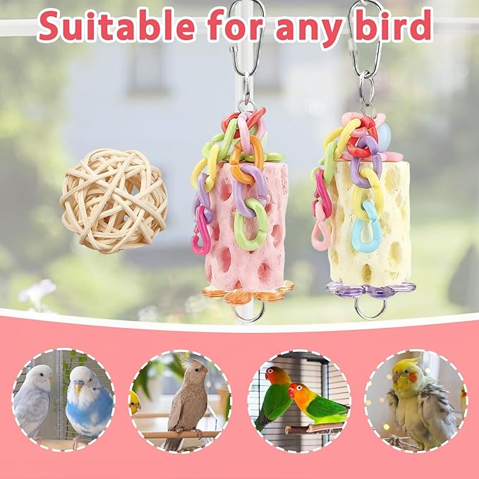 3PS Bird Chewing Toys+Sepak Takraw Bird Beak Grinding Stone Calcium Parakeet Treats for Budgies Cockatiels Conures Quaker Senegal Parrot