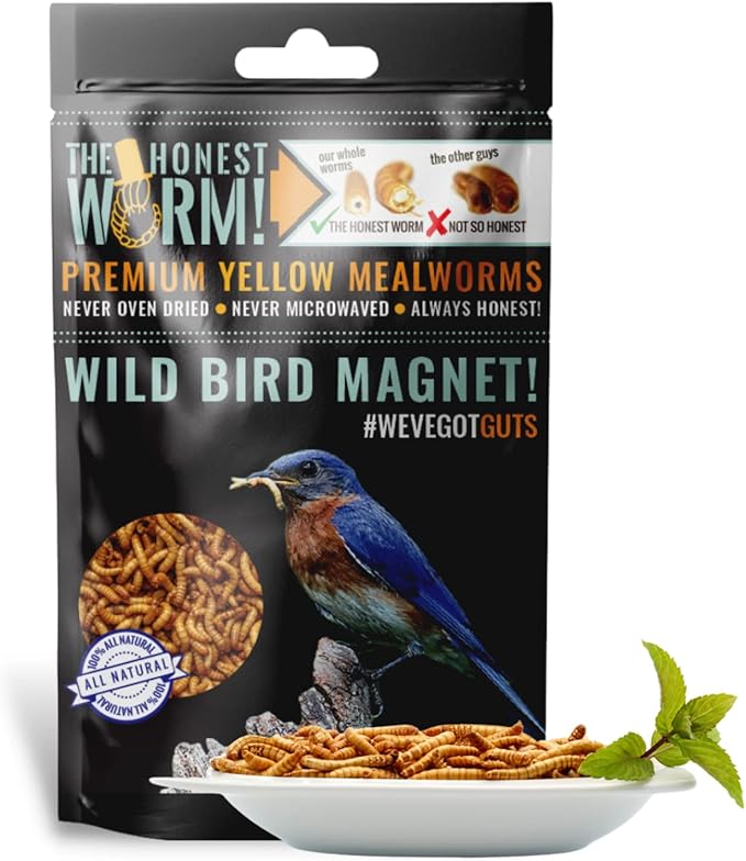 Wild Bird Magnet | Premium Freeze Dried Mealworms | Living Sight Attractant | Ethically Sourced Natural Organic Yellow Worms | High Protein Treats for Birds & Exotic Pets | (7oz)